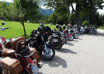 phoca thumb l faak 2017