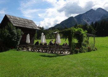 phoca thumb l faak 2017