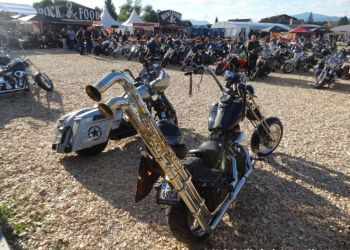 phoca thumb l faak 2017