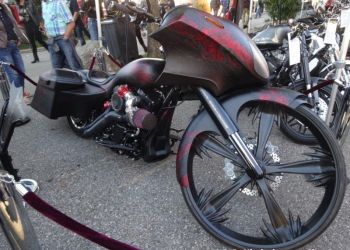 phoca thumb l faak 2017