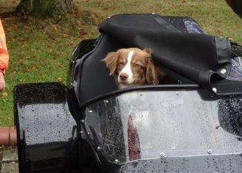 phoca thumb l dsc02065