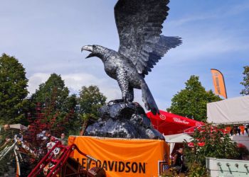 phoca thumb l img 20220907