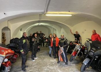 phoca thumb l img willi