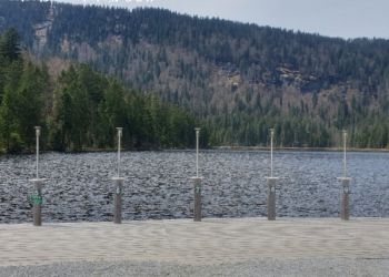 phoca thumb l 20230501