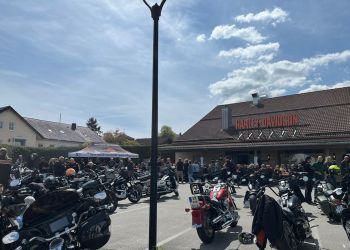 494429501 737341421953019 n