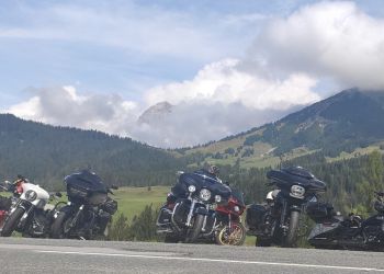 whatsapp bild 2024 08 17 um 11.12.13fe64b92