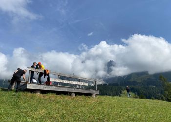 whatsapp bild 2024 08 17 um 11.17.09f4da