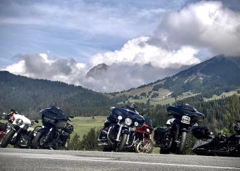 whatsapp bild 2024 08 17 um 21.37.10cff1b27