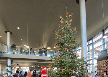 whatsapp bild 2024 30 um.25.29 f1612ef7