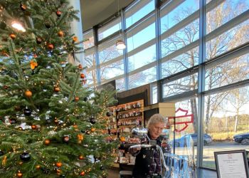 whatsapp bild 2024 11 30 um.29.11 f6c31b24