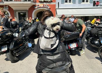 whatsapp bild 2025 08 15 um 15.13.43e2