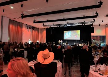 whatsapp bild 2024 11 17 um 01.28.24