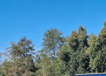 whatsapp bild 2025 09 20 um 14.26.42bf