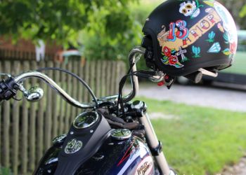 phoca thumb l img large