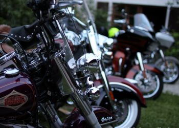 phoca thumb l img large