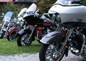 phoca thumb l img large