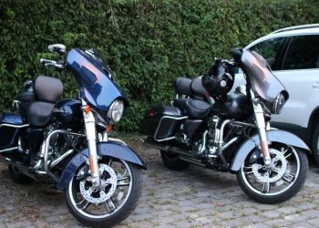 phoca thumb l img large