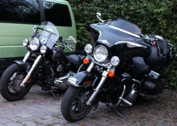 phoca thumb l img large