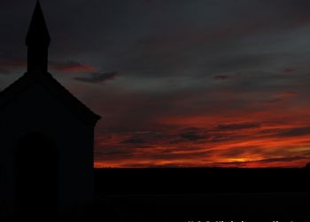 phoca thumb l img large