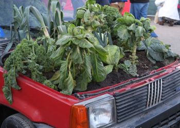 phoca thumb l 201620 loh tollwood2