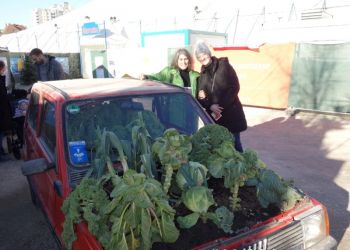 phoca thumb l 2016 10 loh tollwood