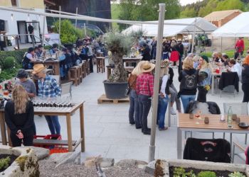 phoca thumb l 20220513