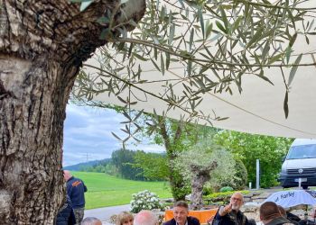 photo 2025 05 04 14 12