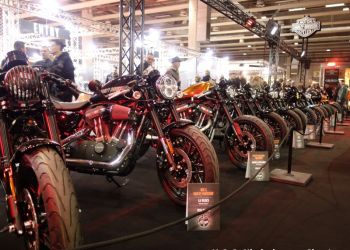 phoca thumb l dsc06974 large