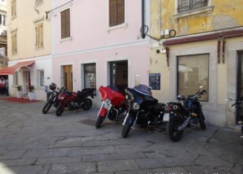 phoca thumb l dsc08651