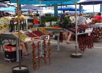 phoca thumb l dsc08690