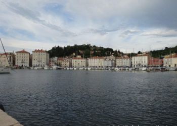 phoca thumb l dsc08735