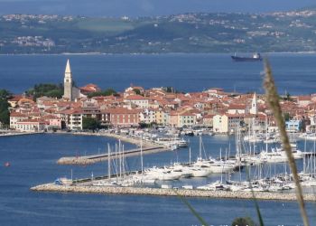 phoca thumb l img large