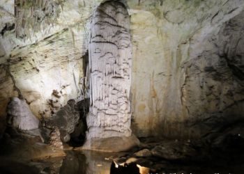 phoca thumb l img large