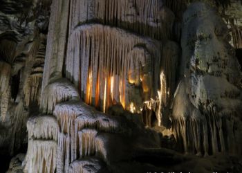 phoca thumb l img large