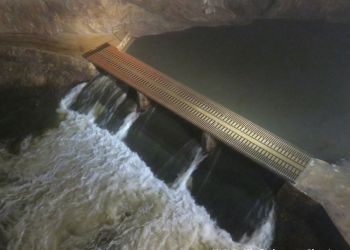 phoca thumb l img large