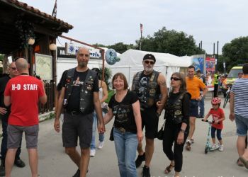 phoca thumb l img large