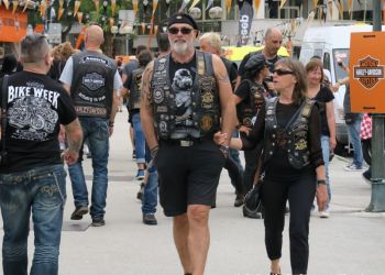 phoca thumb l img large