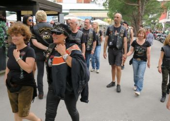 phoca thumb l img large