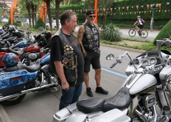 phoca thumb l img large