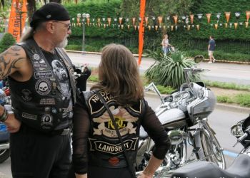 phoca thumb l img large