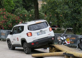 phoca thumb l img large