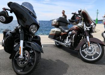 phoca thumb l img large