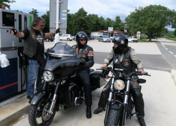 phoca thumb l img large