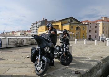 phoca thumb l img large