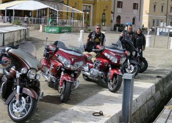 phoca thumb l img large