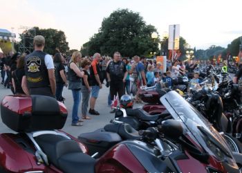 phoca thumb l img large