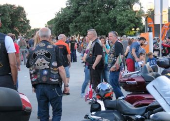 phoca thumb l img large