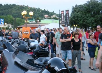 phoca thumb l img large