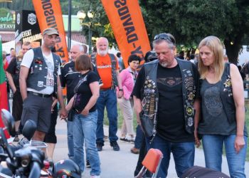 phoca thumb l img large