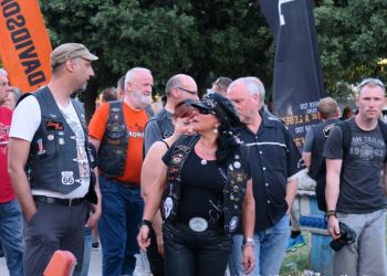 phoca thumb l img large